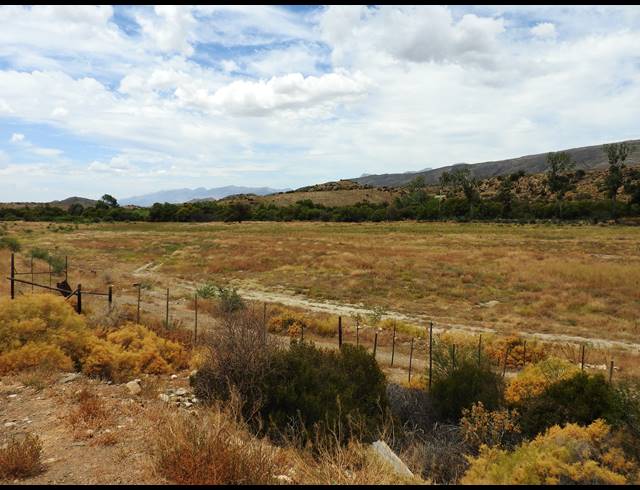 390HA FARM FOR SALE IN PRINCE ALBERT RURAL